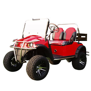 2座電動(dòng)打獵車(不帶頂)